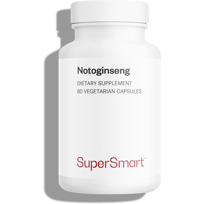 Notoginseng 