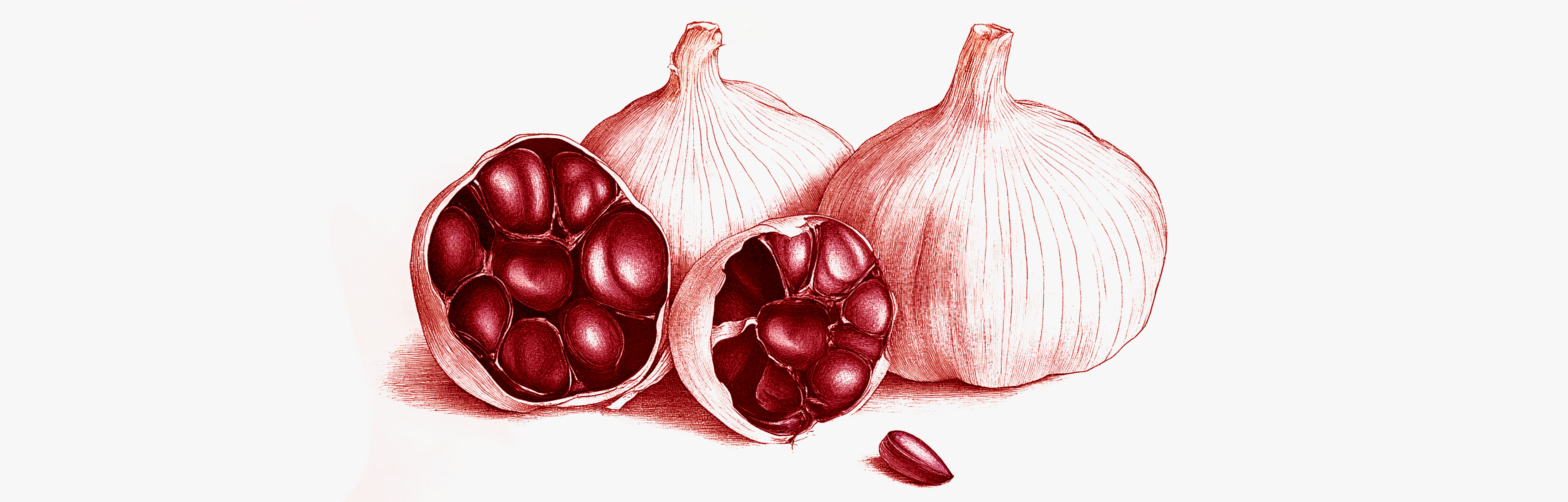 Cloves of black garlic Fermented black garlic