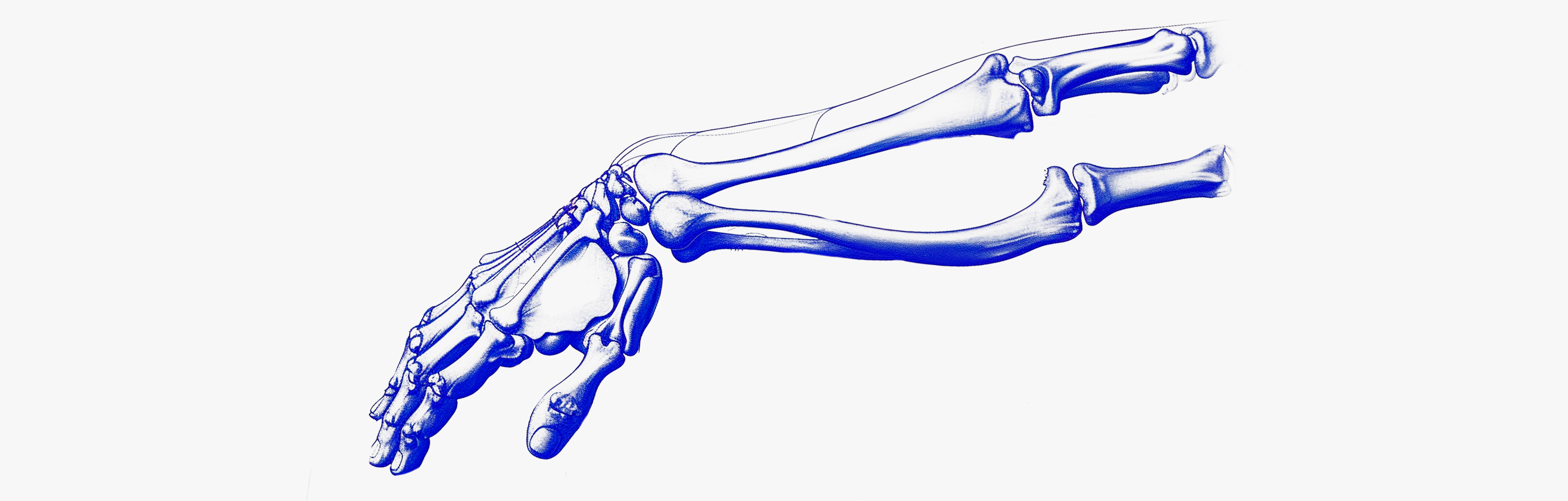 Bones and joints Supplements against rheumatism