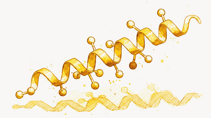 GLP-1 could help combat fatty liver