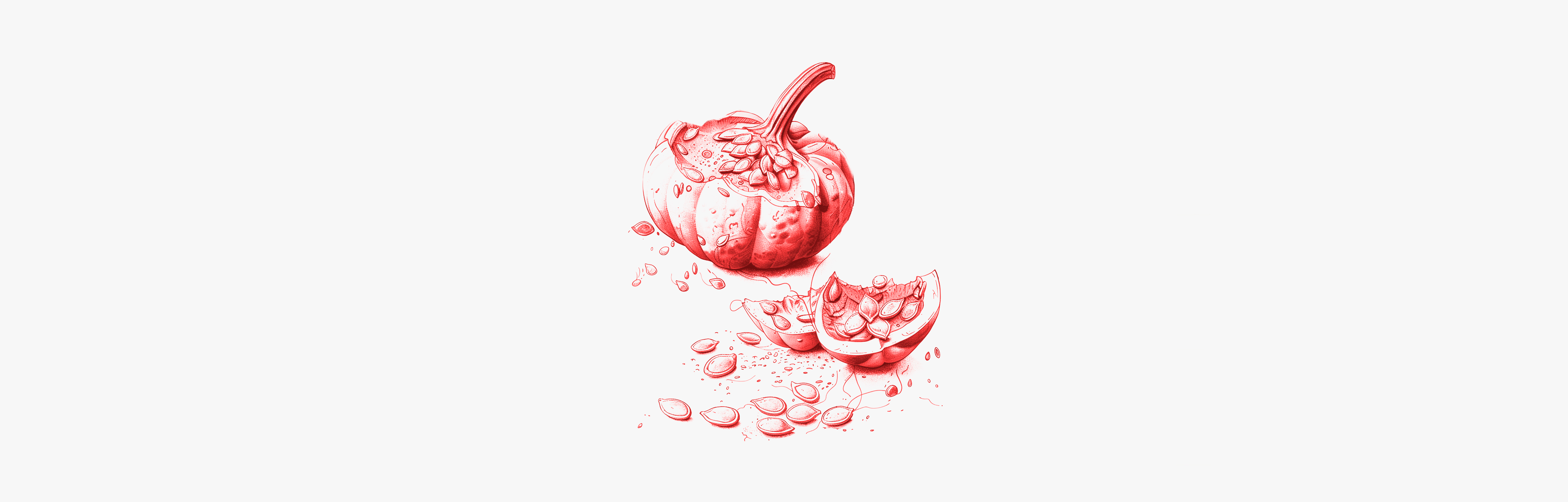 Semillas de calabaza anticolesterol