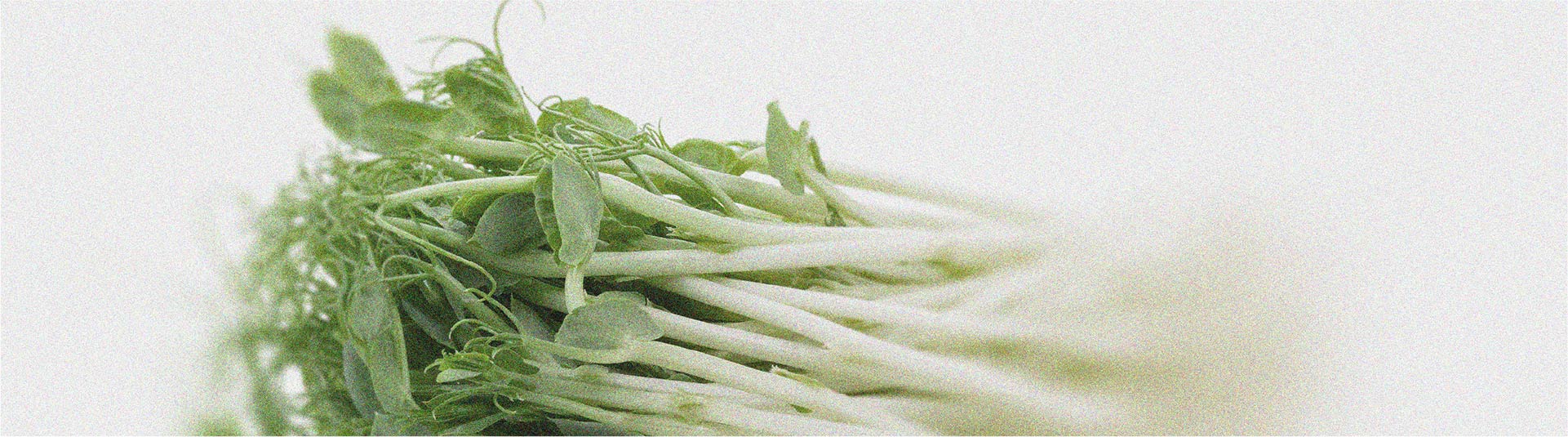 Everything you need to know about histamine intolerance