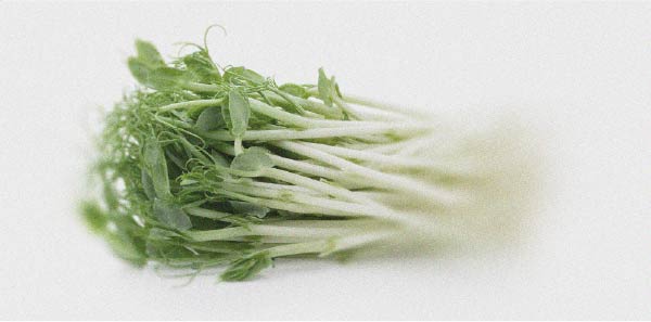 Everything you need to know about histamine intolerance