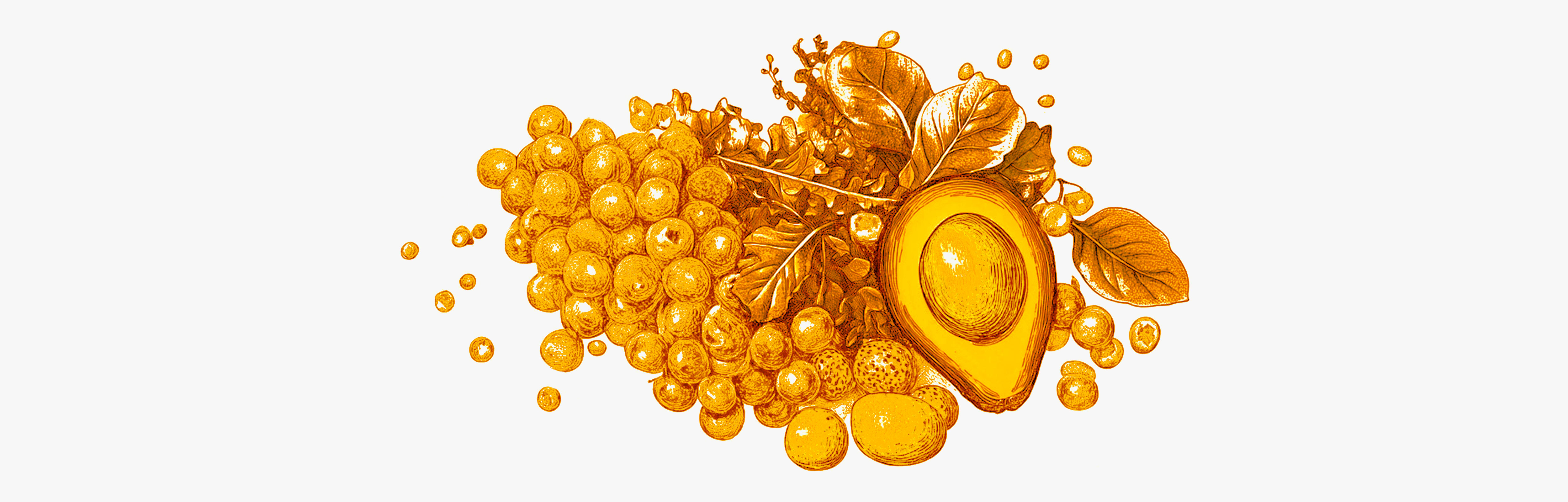 Nutritious foods Benefits of micronutrition