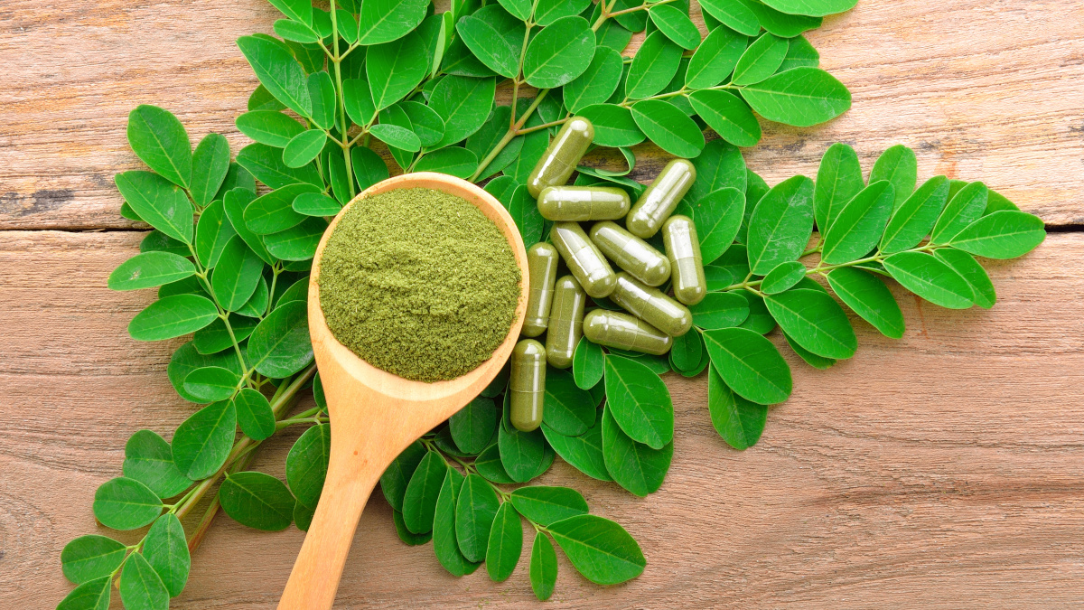 Gélules, poudre et feuilles de moringa