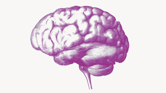 Multivitamins to combat cognitive decline