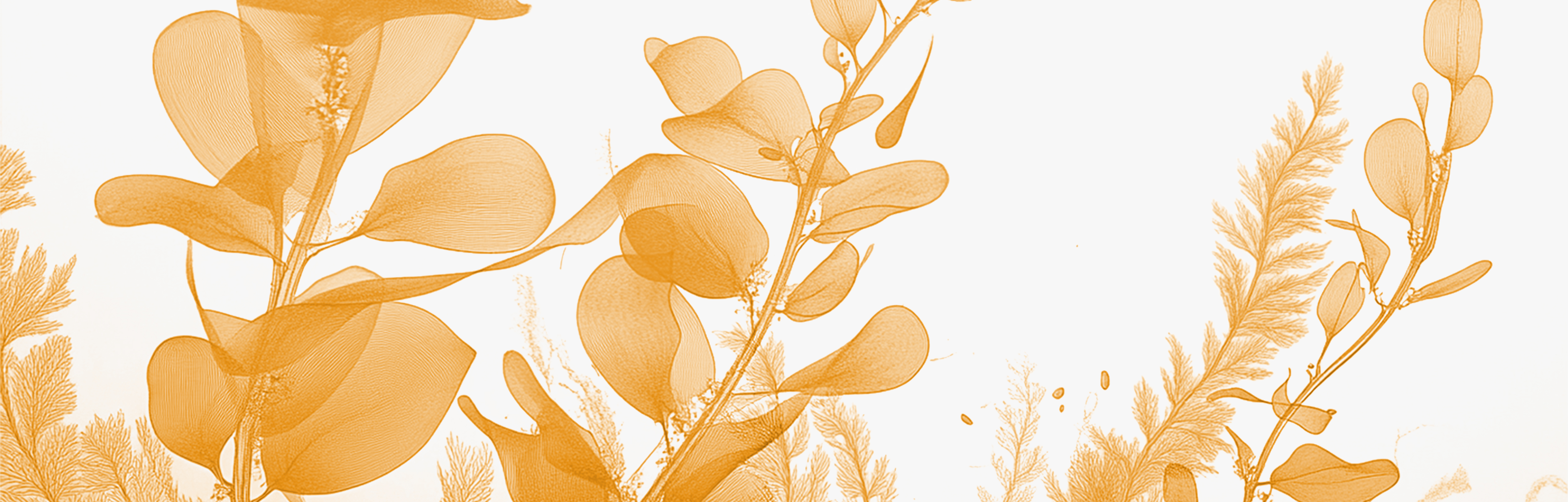 Futuristic food Futuristic food