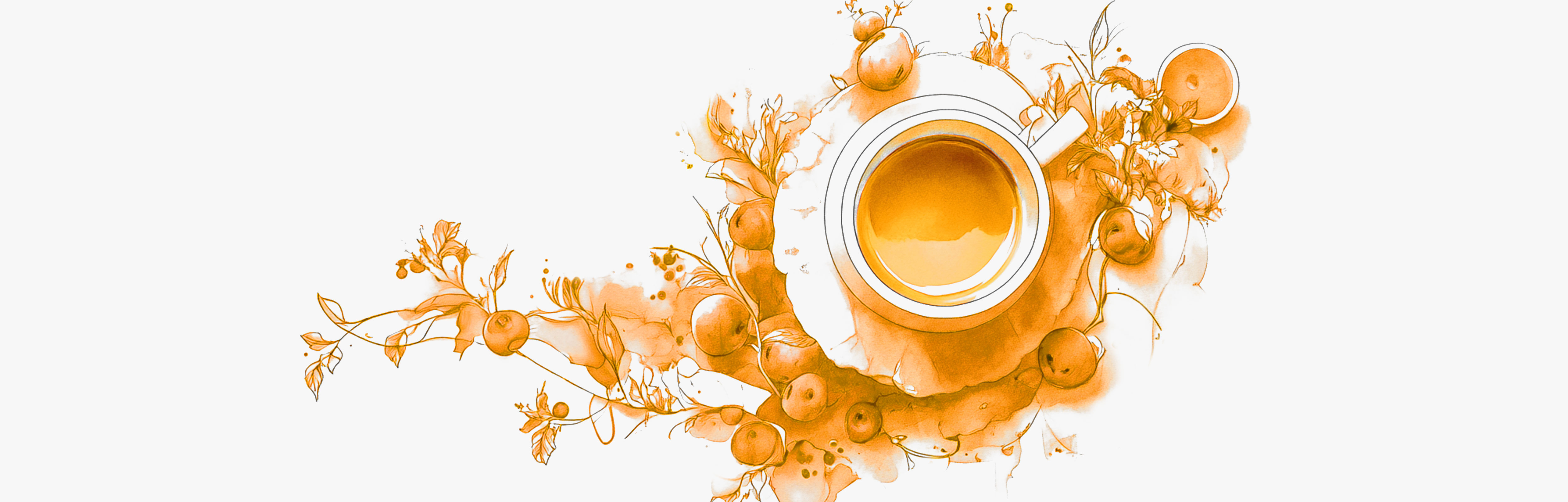 Infusion anti-stress Drawing of the best adaptogenic plants