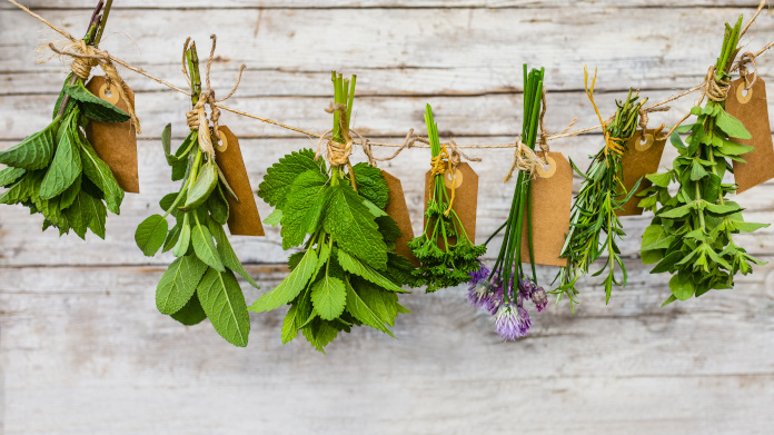 Plantes aromatiques et médicinales qui sèchent