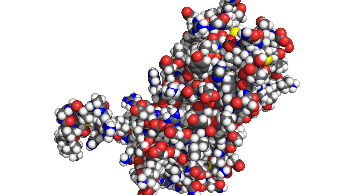 Excès de prolactine