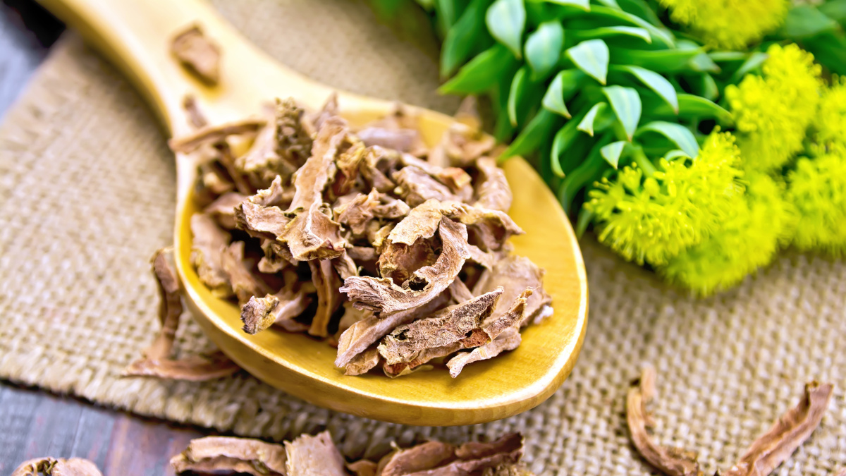 Golden root of the anti-depressant Rhodiola rosea