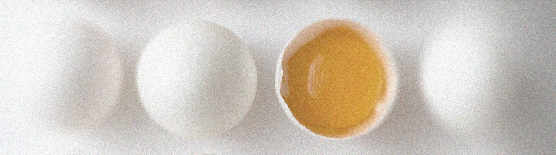 Everything you need to know about vitamin B2