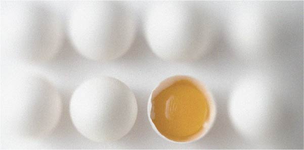 Everything you need to know about vitamin B2