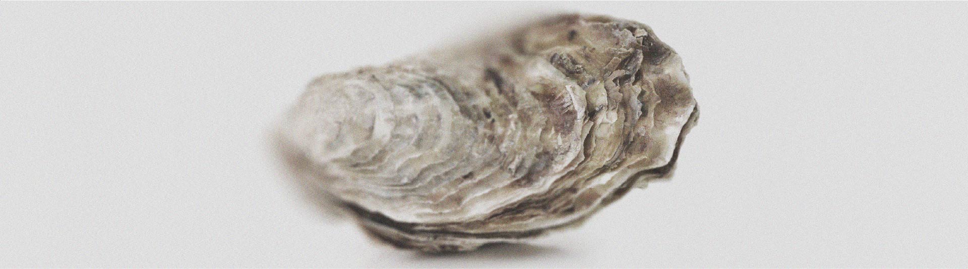 The benefits of zinc for women