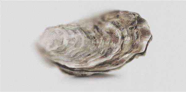 The benefits of zinc for women